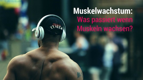 Muskelwachstum - was passiert wenn Muskeln wachsen-web