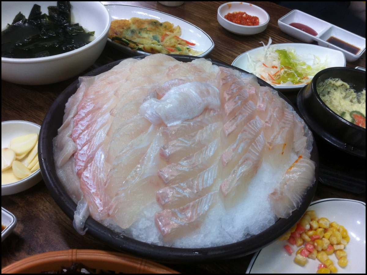 Koreanische Eiweißquelle No 1: Sashimi - roher Fisch, frisch vom Aquarium auf den Teller. Eiweiß-Pur