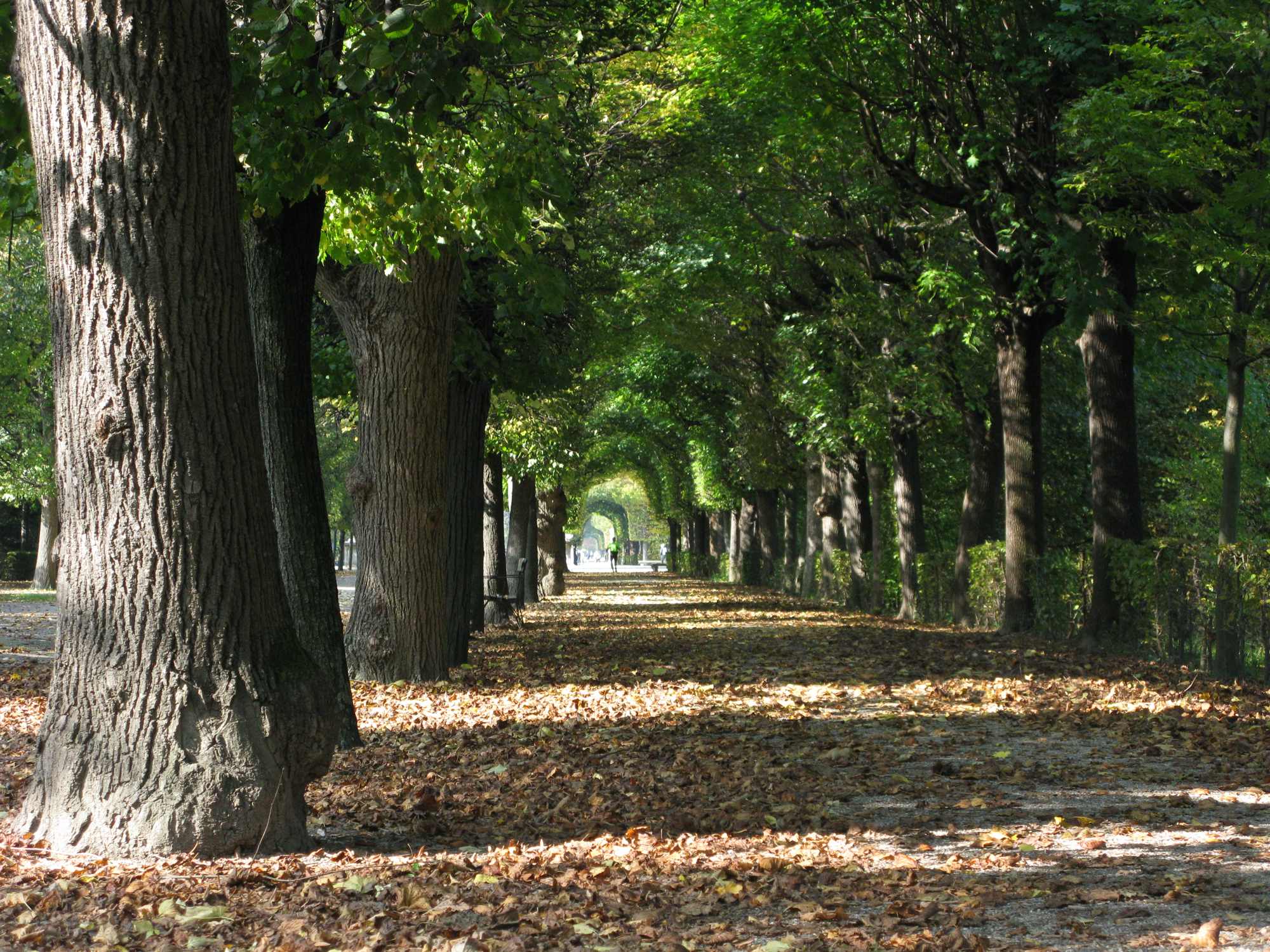 Spaziergang Im Schlosspark Schonbrunn Zur Erholung Von Korper Und Geist Fitness Schmiede At Fitness Schmiede At