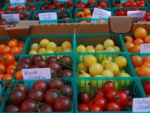 Vielfalt beim Essen - Paradeiser oder Tomaten gibt es in vielen verschiedenen Farben, Formen und Geschmäcker