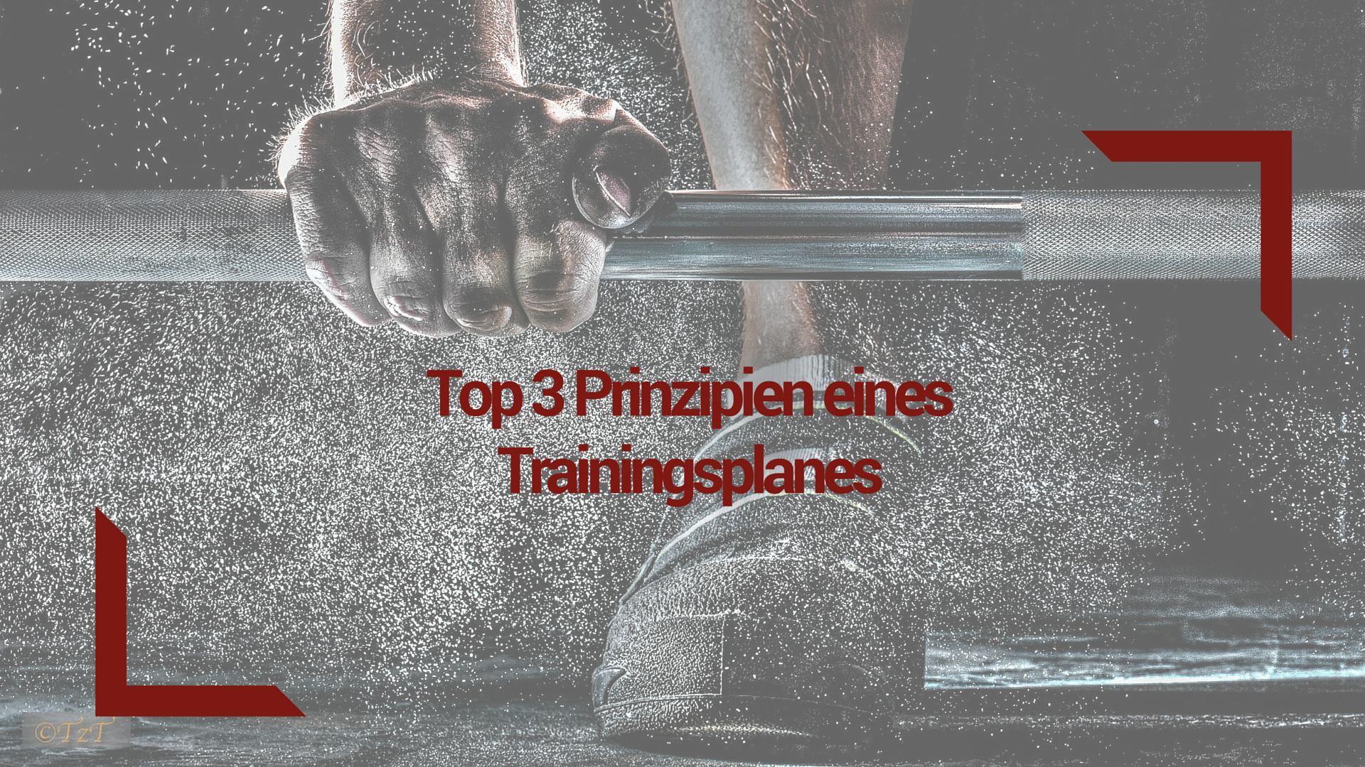 Top 3 Prinzipien eines Trainingsplanes