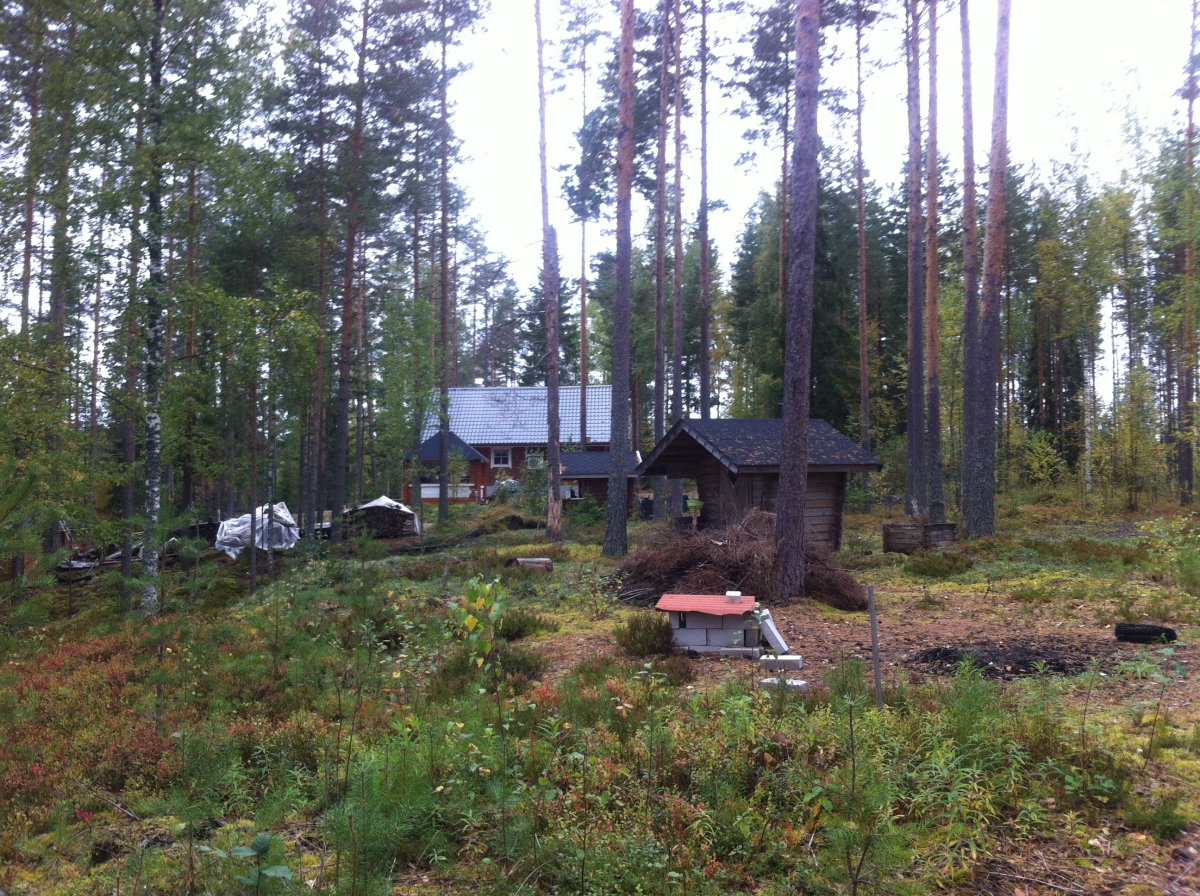 Einsame Hütten im Wald - ohne Strom, dafür mit Sauna!